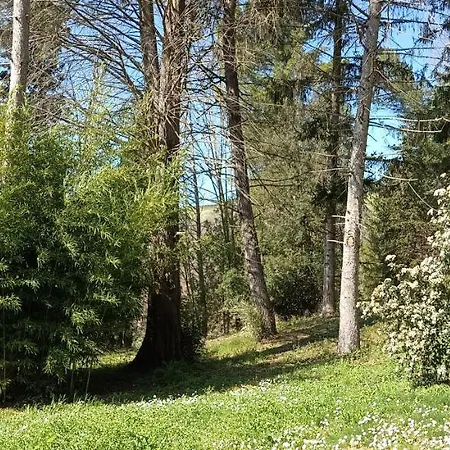 Casale La Pineta Appartamento *