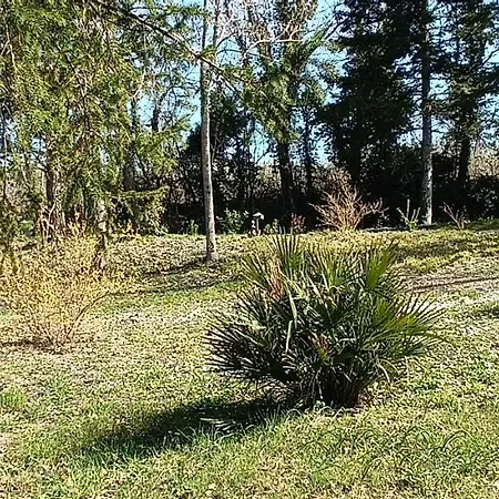 Casale La Pineta Lägenhet