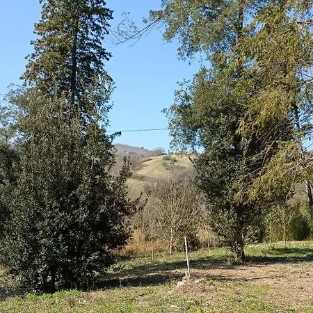 Apartament Casale La Pineta