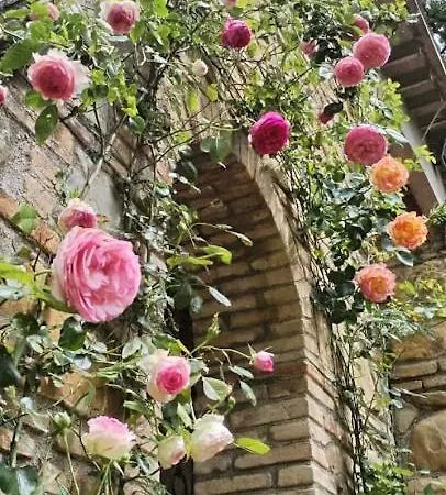 Casale La Pineta * Mombaroccio